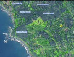 Private Mountain View Lot with Native Trees at Marbella