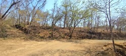 Private Mountain View Lot with Native Trees at Marbella