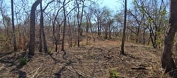 Private Mountain View Lot with Native Trees at Marbella