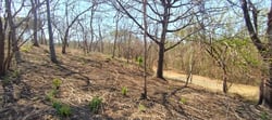 Private Mountain View Lot with Native Trees at Marbella