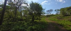 9,621 m² Lot – Walk to Marbella Beach