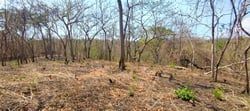 Private Mountain View Lot with Native Trees at Marbella